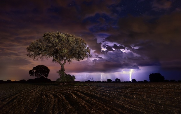 Lightning Night Storm