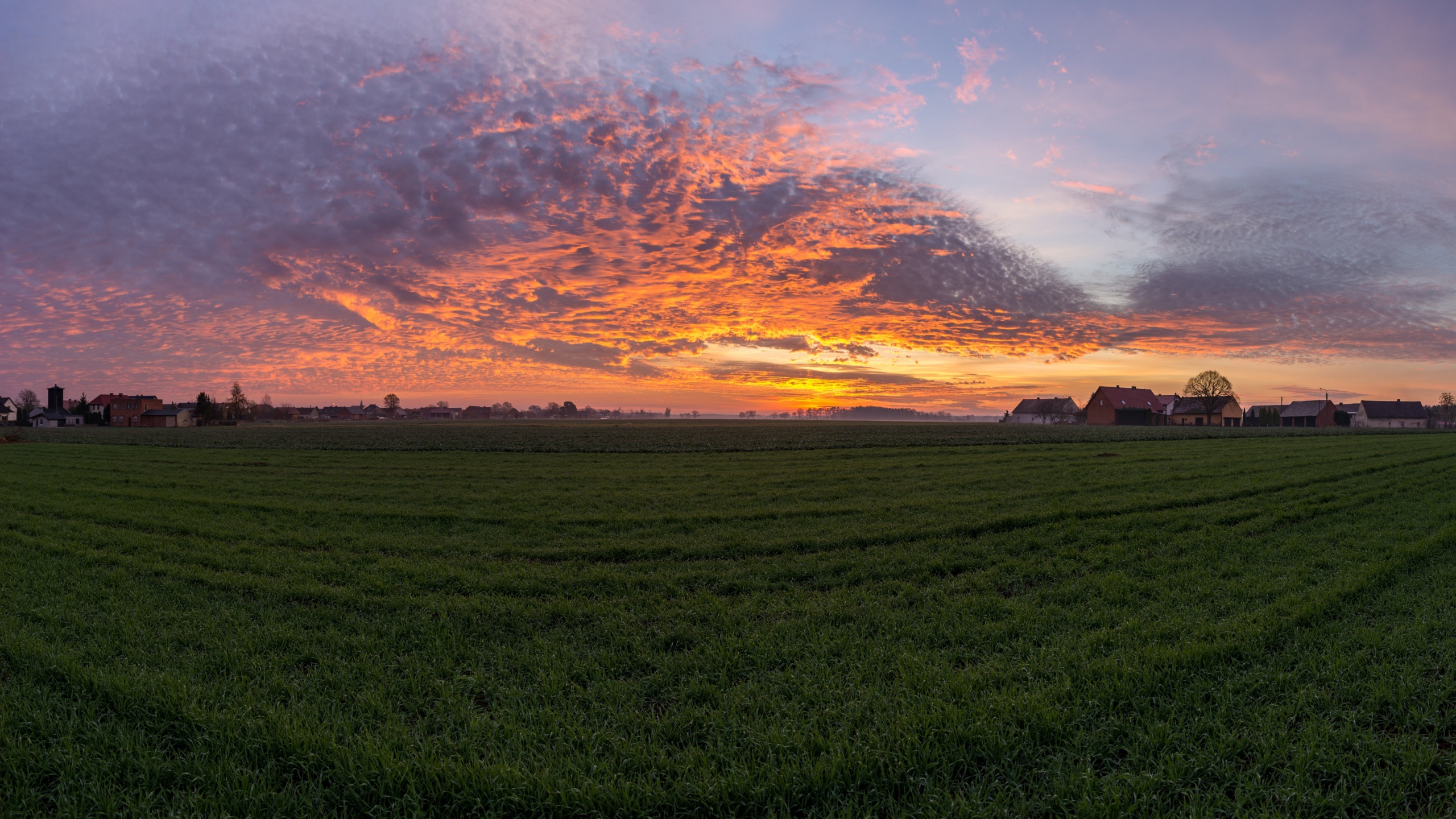 Sunset Over Green Field Wallpapers - 2560x1440 - 1292186