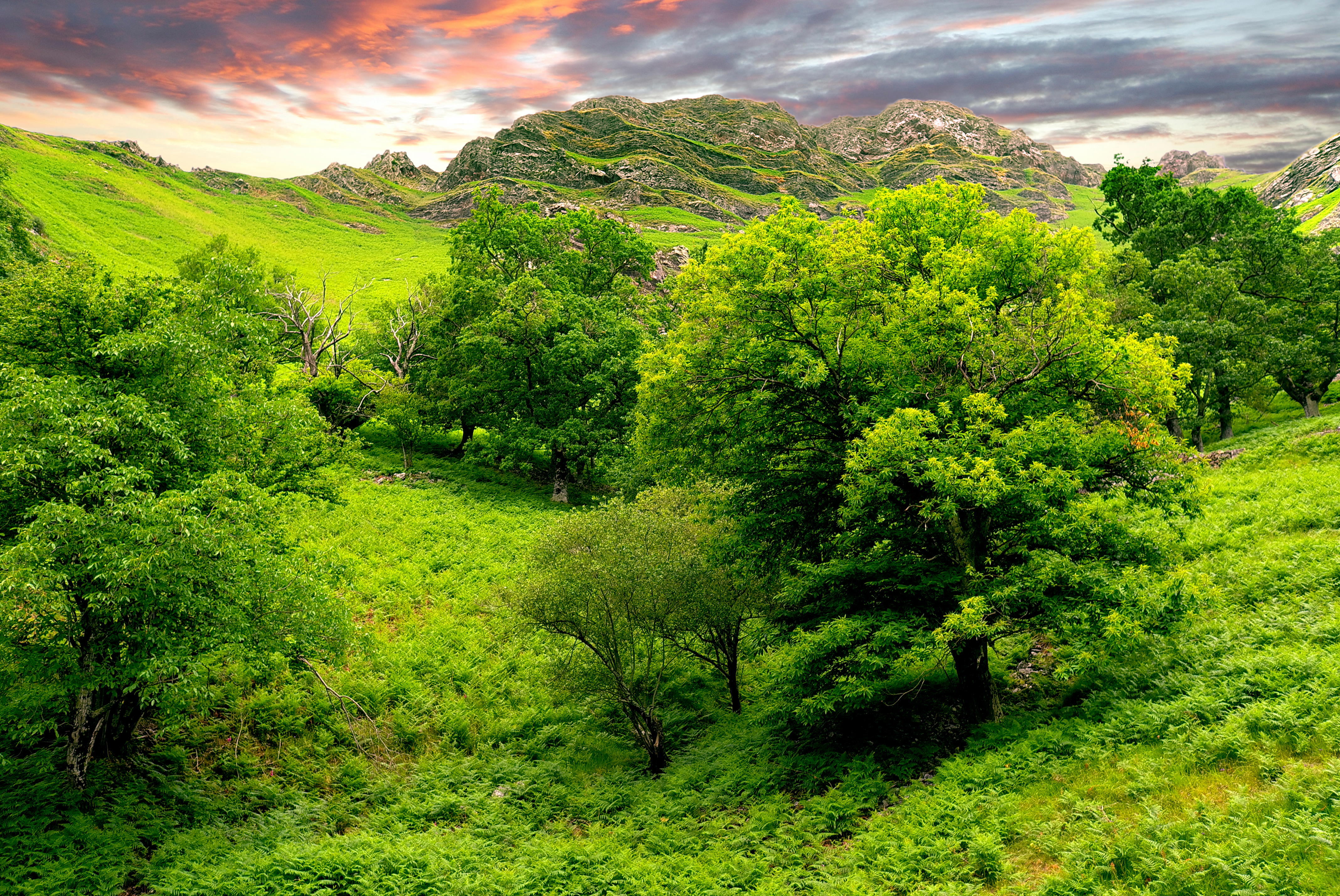 Green Landscape Wallpapers - 4272x2856 - 15145649