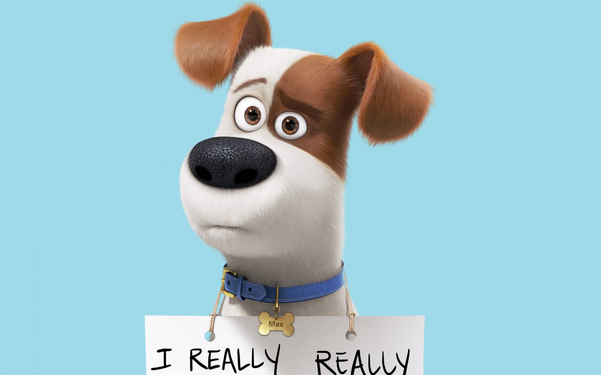 the secret life of pets скачать