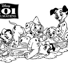 Dalmatians in sandbox coloring pages