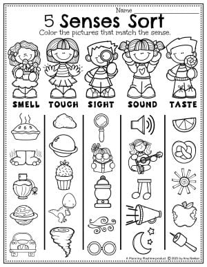 Senses worksheets for preschoolers