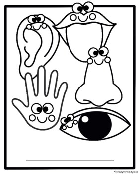 Five senses coloring pages booklet touch see hear smell taste