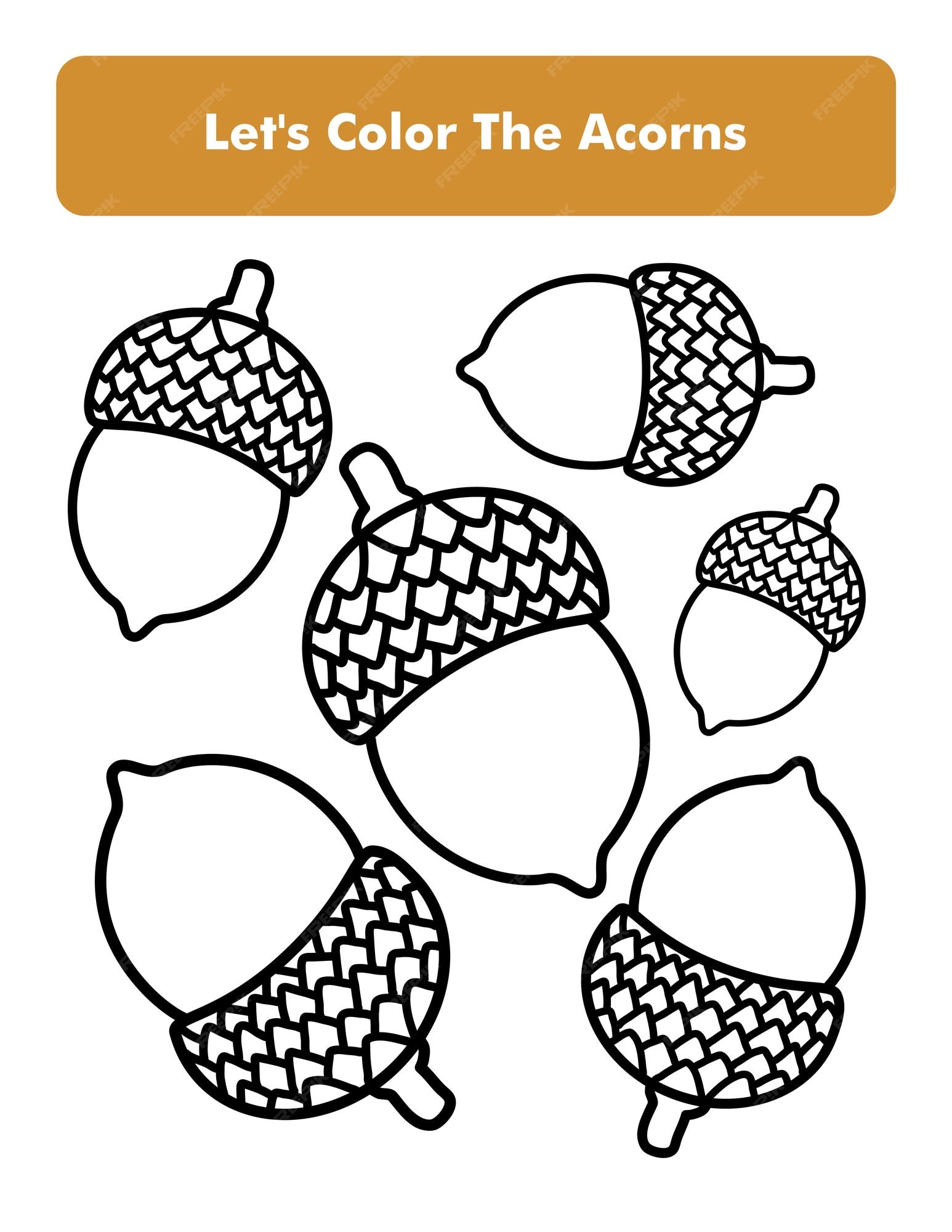 Premium vector acorns coloring book page in letter page size children coloring worksheet premium vector element