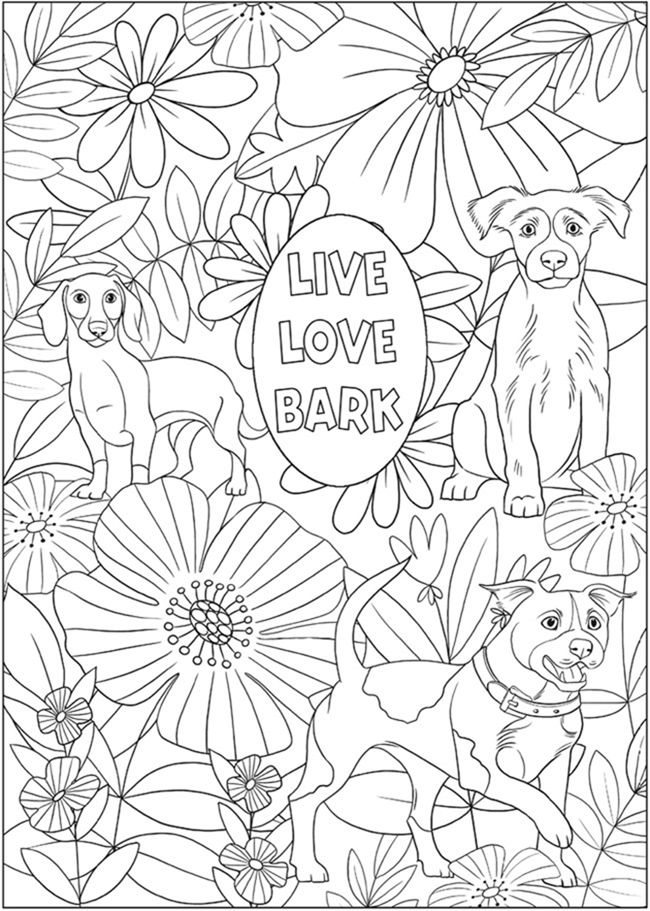 Free printable coloring pages for adults childrenâcheerful designs plus many more