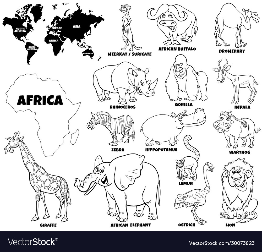 Educational african animals color book page vector image