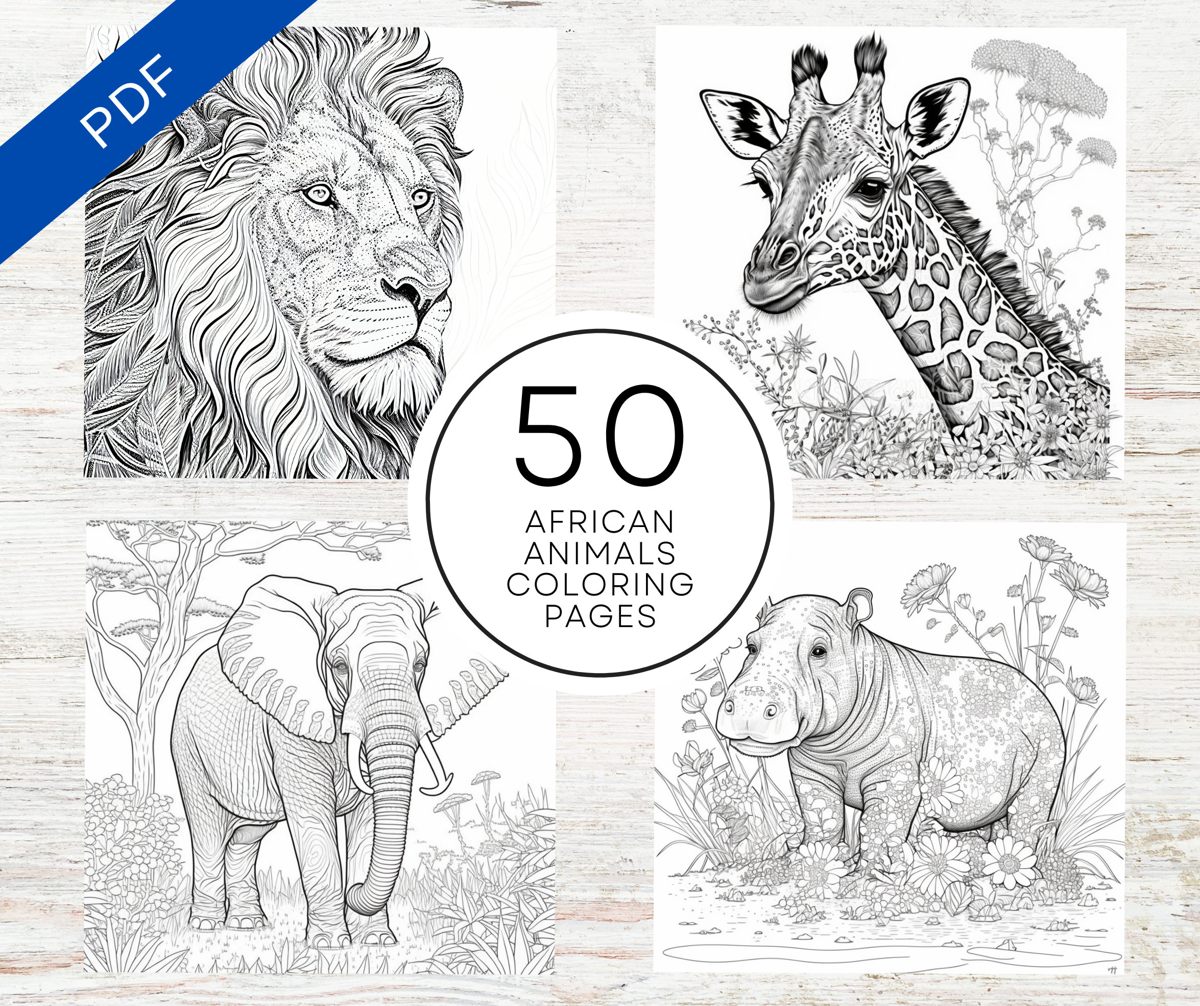 Kdp interior african animals coloring pages x