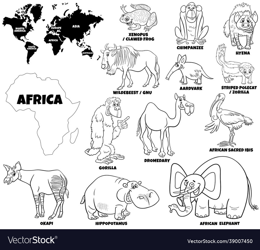 Educational african animals coloring book page vector image