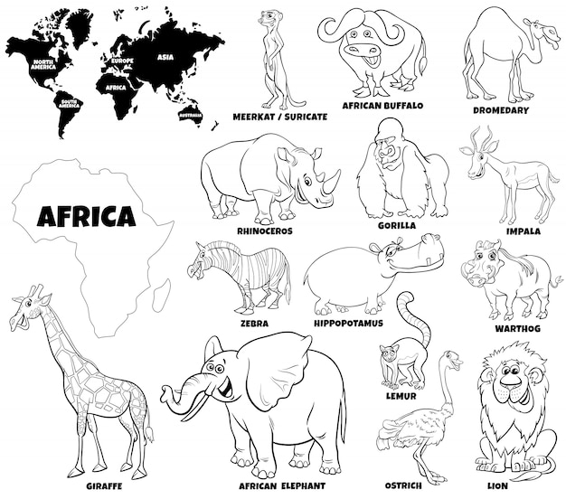 Premium vector educational illustration of african animals color book page