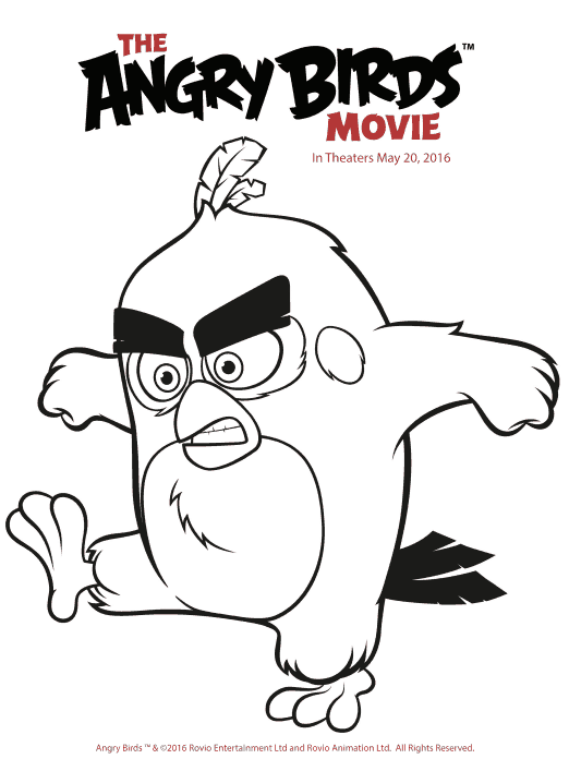 Free and fun angry birds coloring pages printables