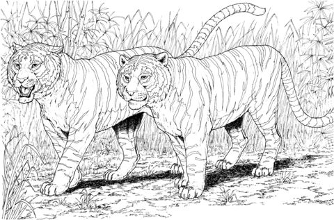 Free realistic coloring pages of animals