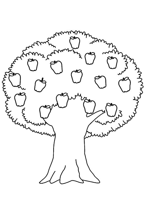 Apple tree coloring page tree coloring page apple coloring pages preschool coloring pages