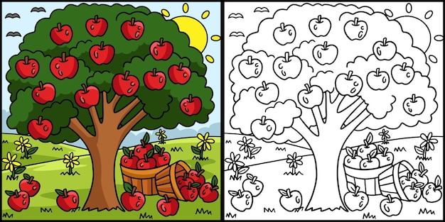 Premium vector apple tree coloring page colored illustration