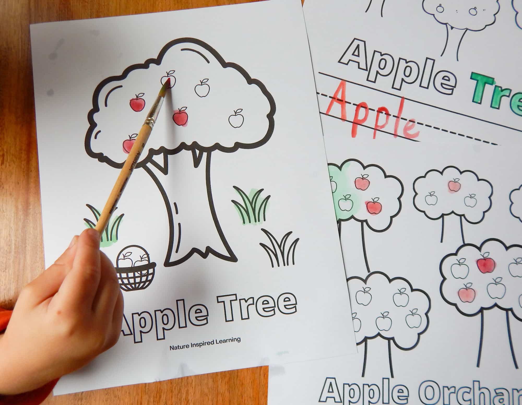 Apple tree coloring pages for kids