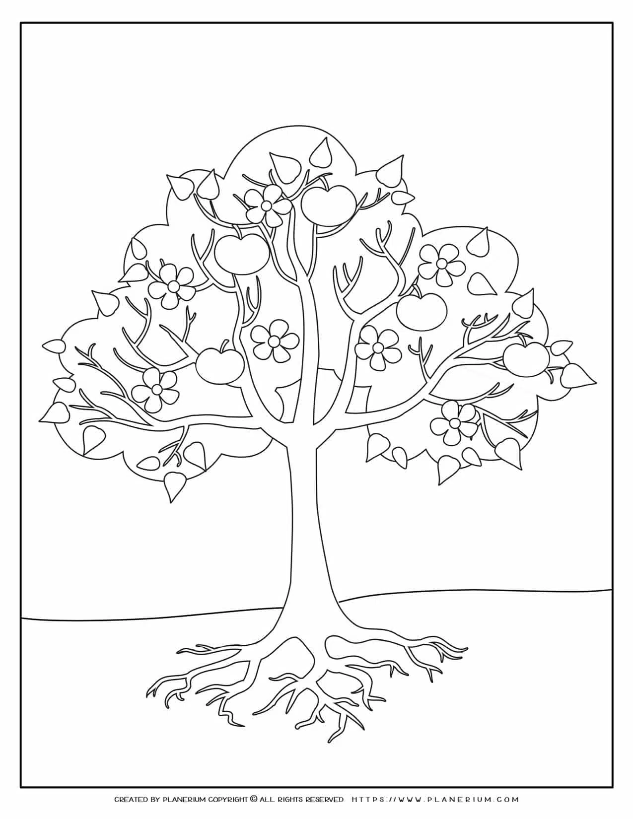 Apple tree coloring page