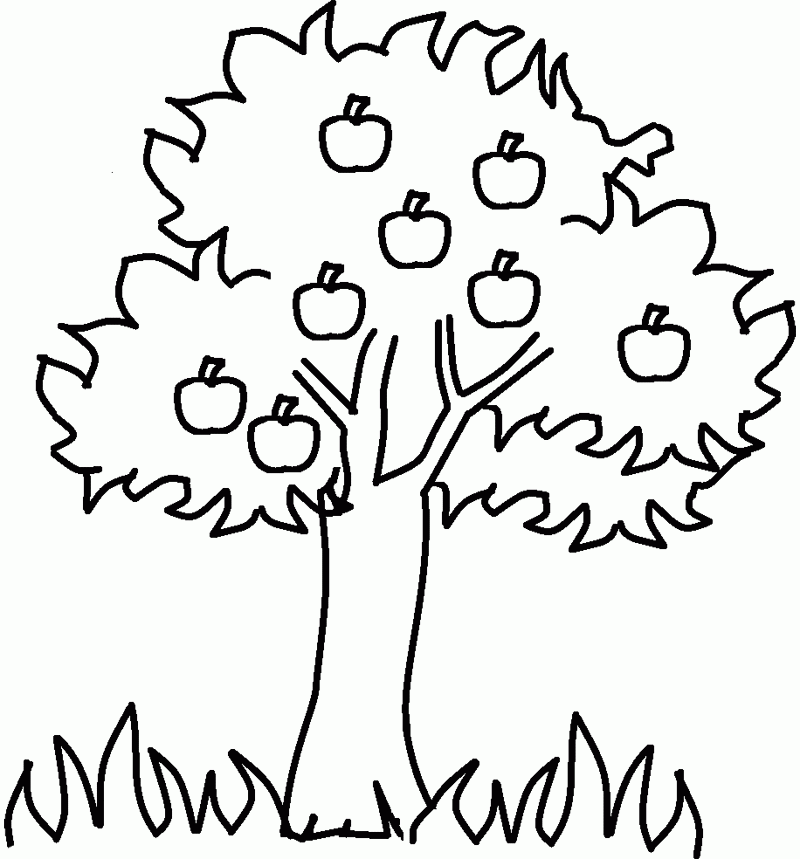 Apple tree coloring pages printable for free download