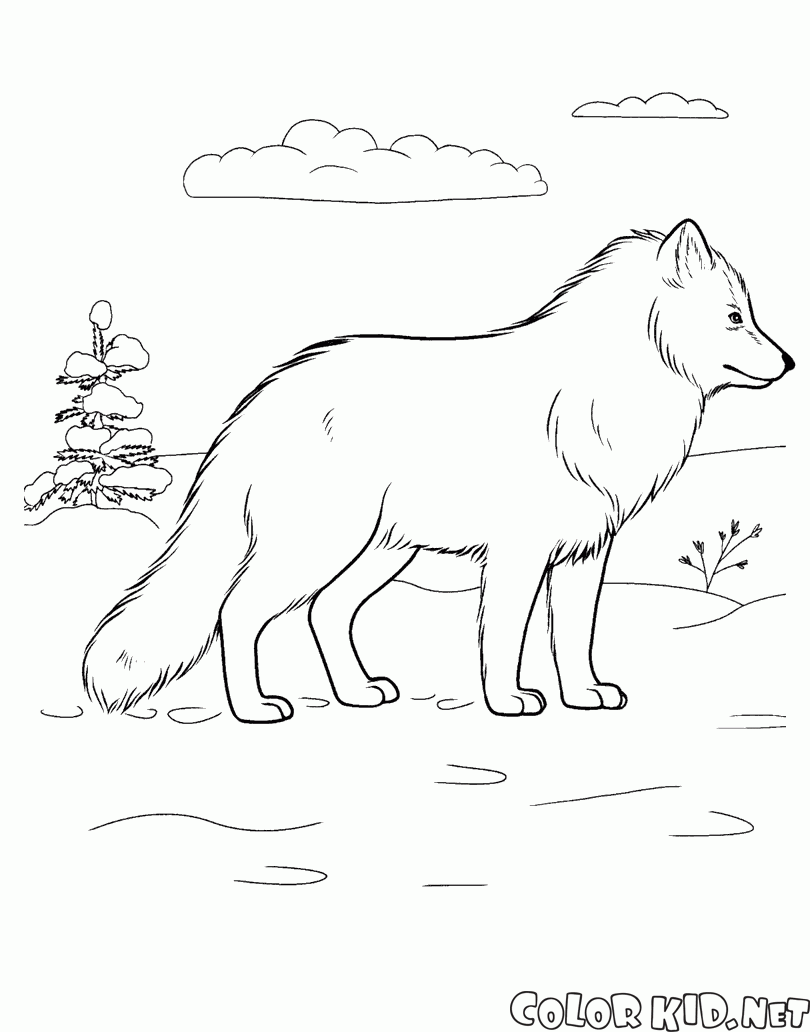 Coloring page