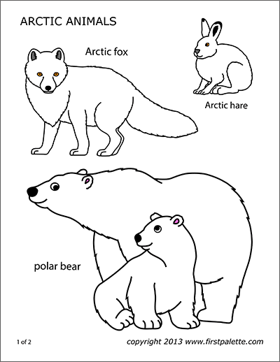 Arctic fox free printable templates coloring pages