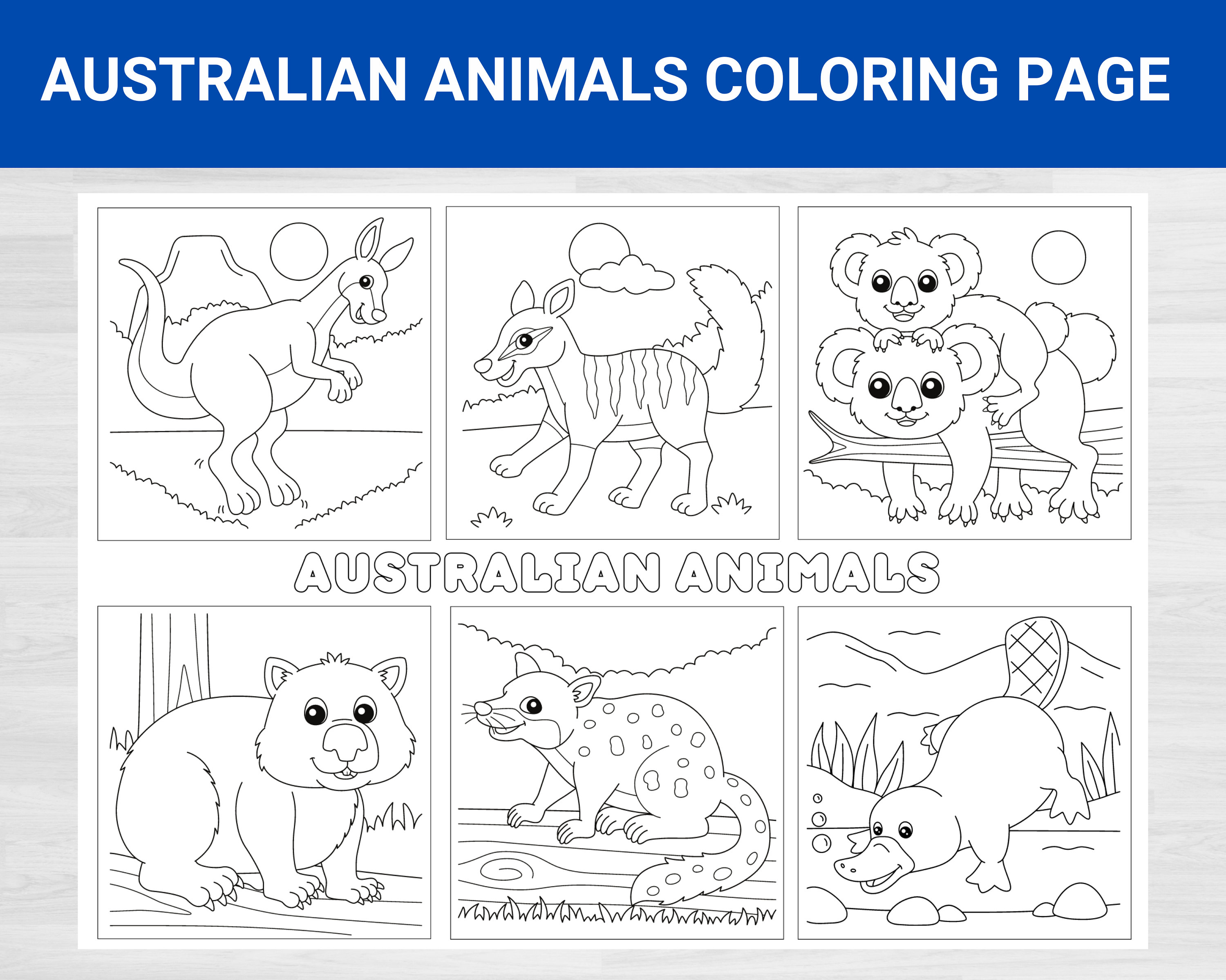 Native australian animals coloring pages australian animals printables australia mammals marsupials coloring coloring printables