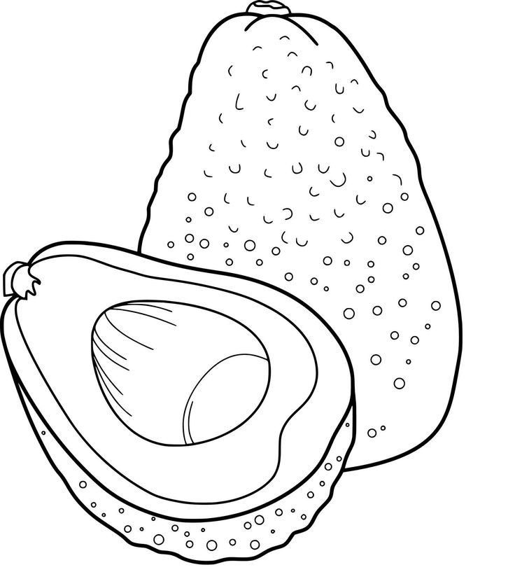 Avocado fruit coloring page fruit coloring pages coloring pages flower coloring pages