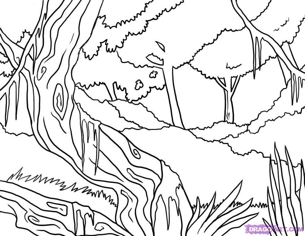 Jungle coloring pages background coloring pages download jungle coloring pages jungle drawing coloring pages