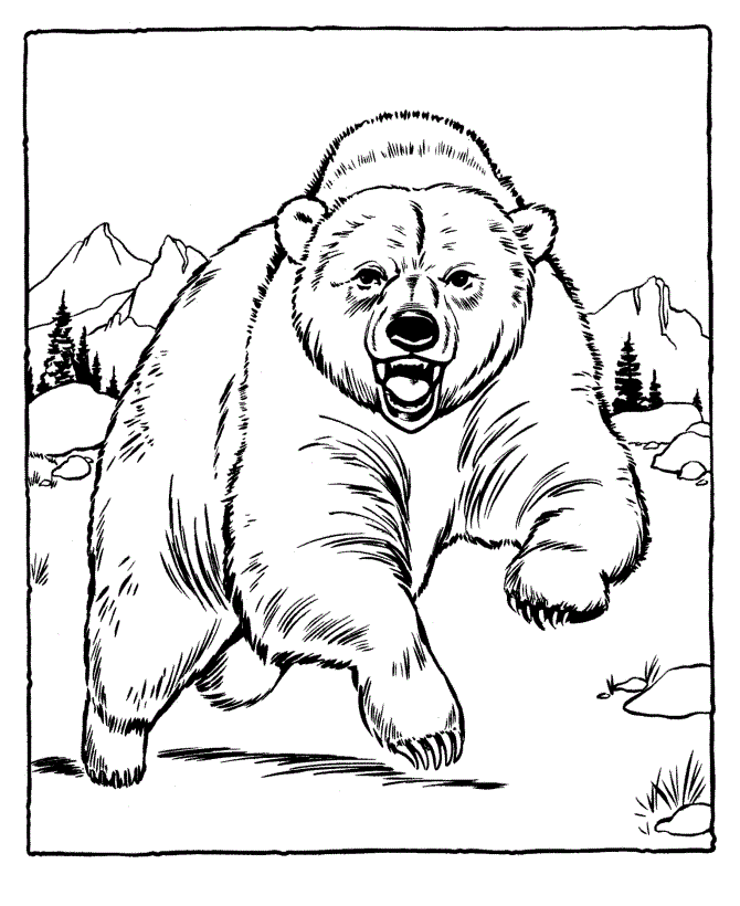 Free printable bear coloring pages for kids