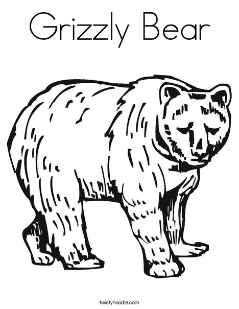 Grizzly bear coloring page