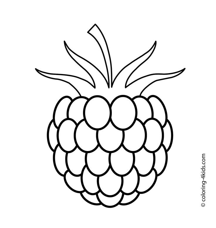 One raspberry fruits and berries coloring pages for kids printable free fruit coloring pages coloring pages coloring pages for kids