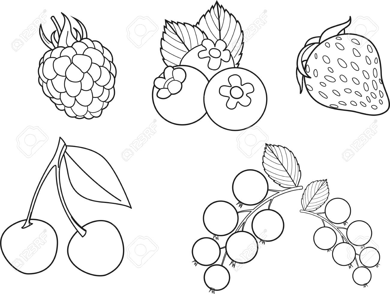 Coloring page set of vector berries including vector raspberry blueberry fresh strawberry juicy cherry gooseberry coloring book black and white royalty free svg cliparts vectors and stock illustration image