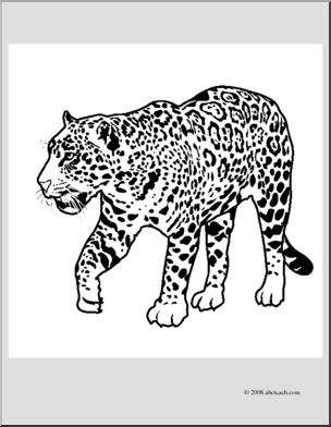 Clip art big cats jaguar coloring page i