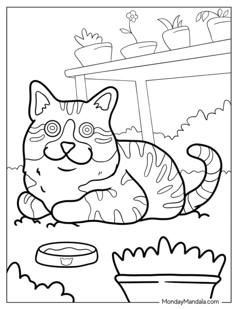 Cat coloring pages free pdf printables