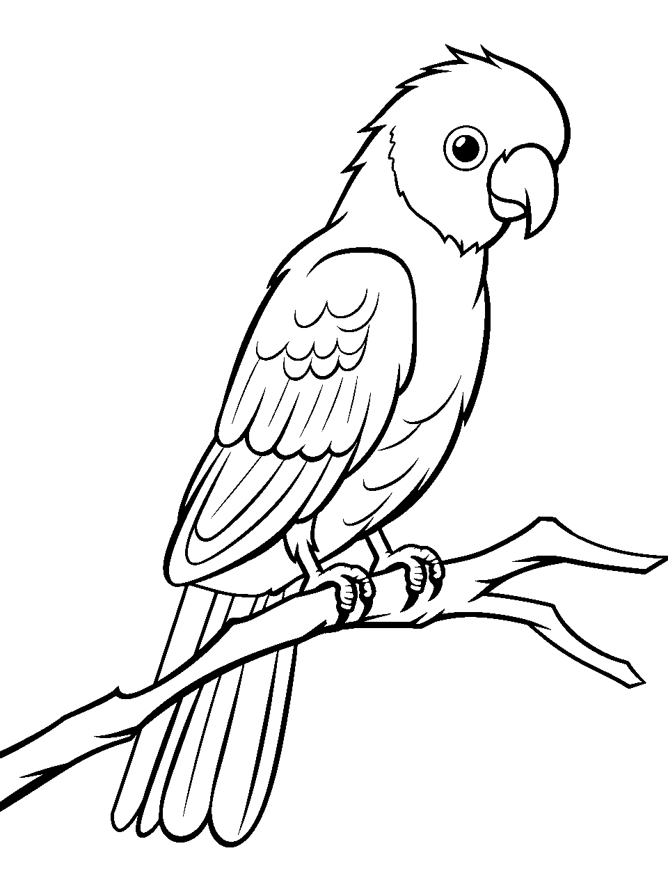 Bird coloring pages free printable sheets