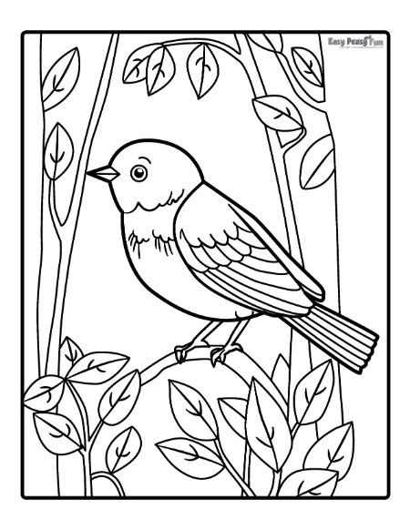 Printable bird coloring pages