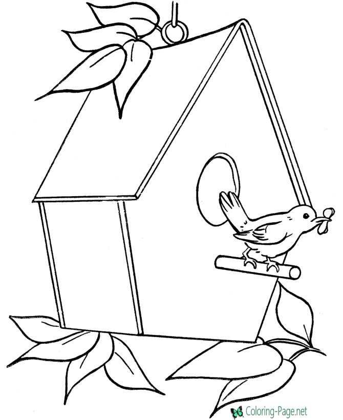 Bird house coloring pages