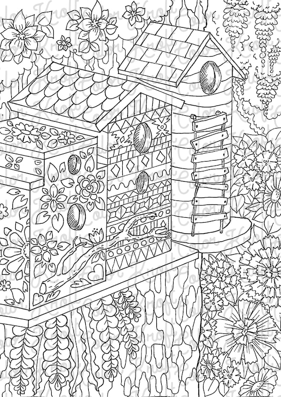 Bird houses in the country coloring page printable digital download coloring