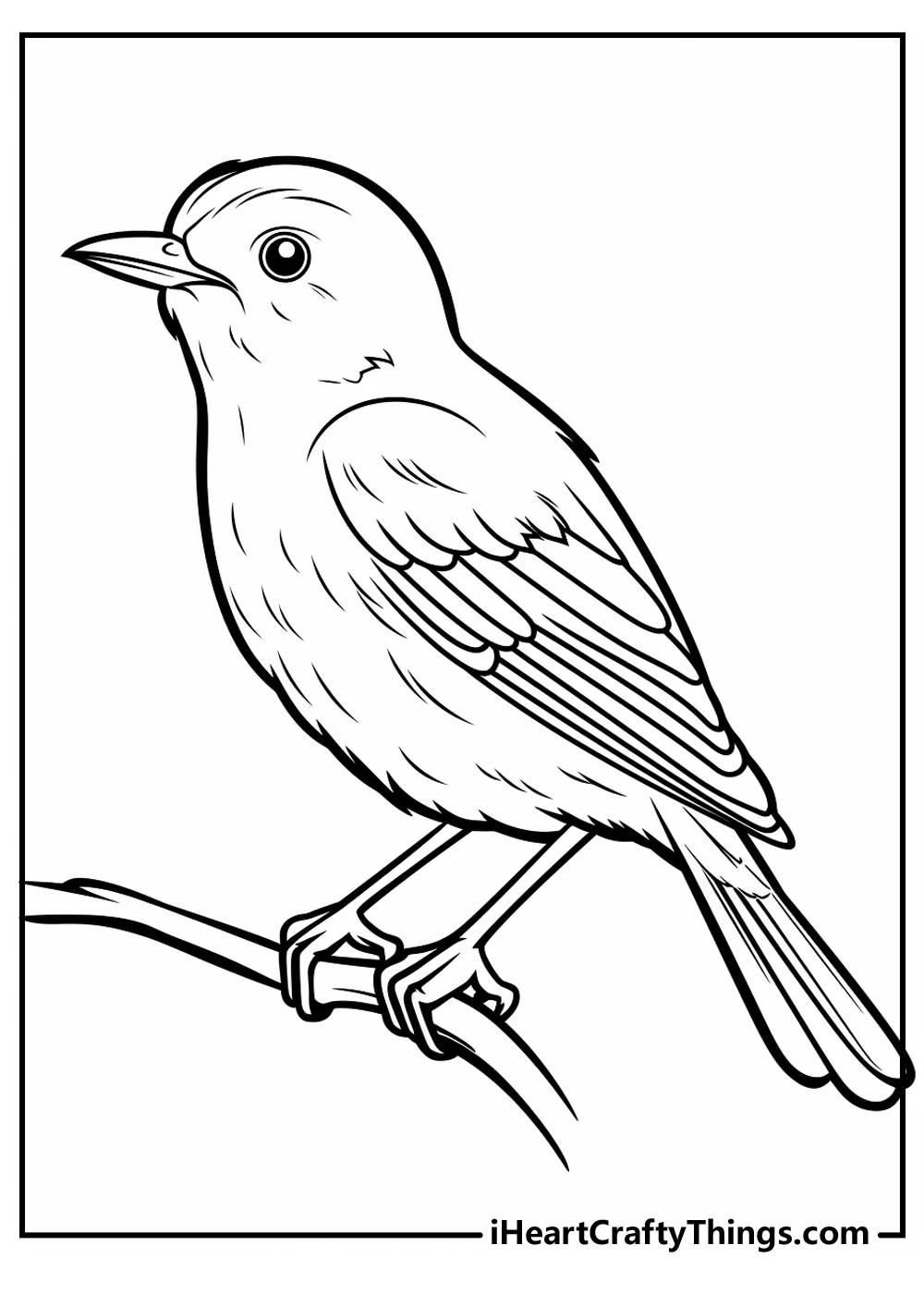 Bird coloring pages free printables