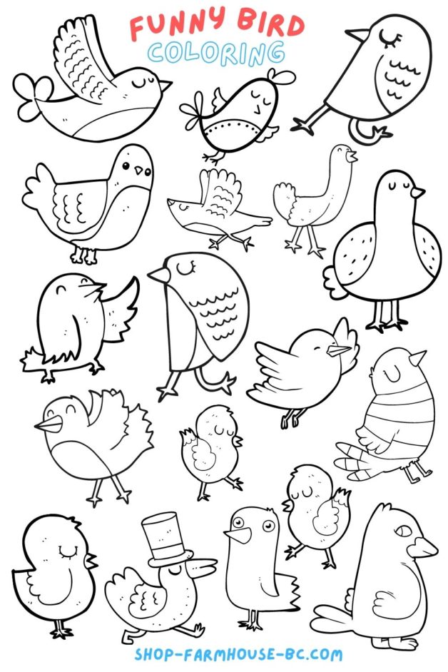 Free funny bird coloring page â farmhouse