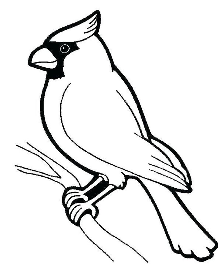 Printable birds coloring page to print and color bird coloring pages love coloring pages coloring pages for kids