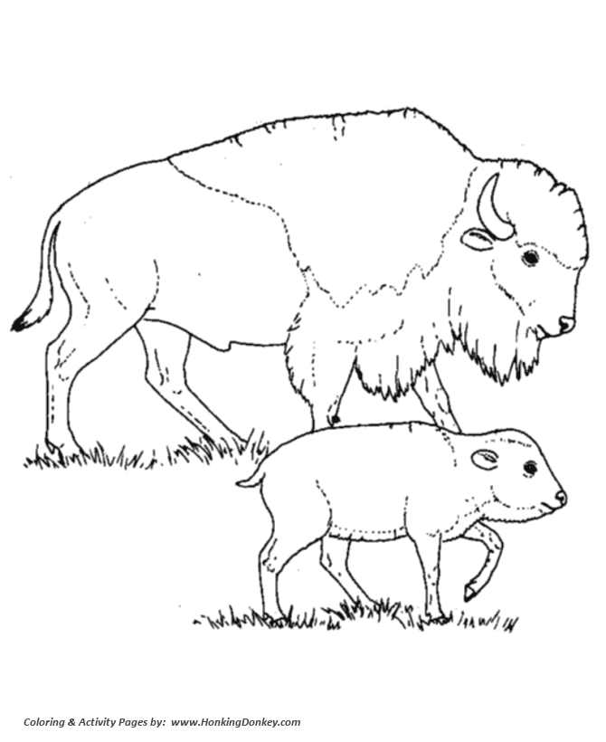 Wild animal coloring pages bison mother and calf coloring page and kids activity sheet