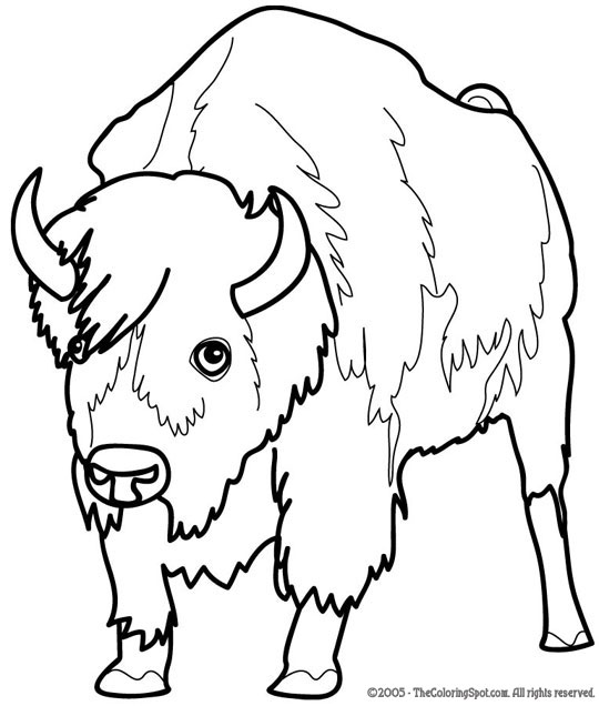 Bison coloring page audio stories for kids free coloring pages colouring printables