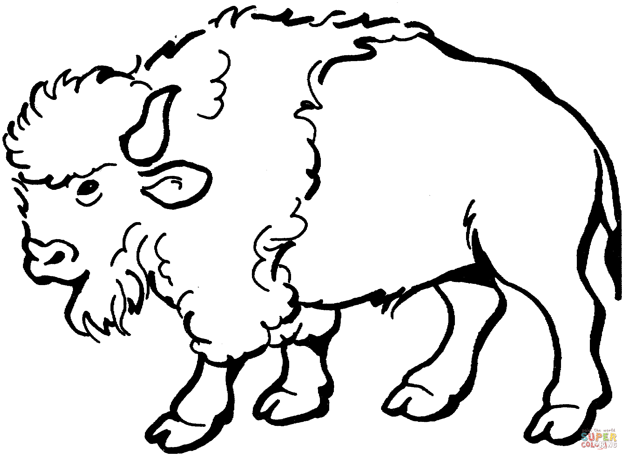 Bison coloring page free printable coloring pages