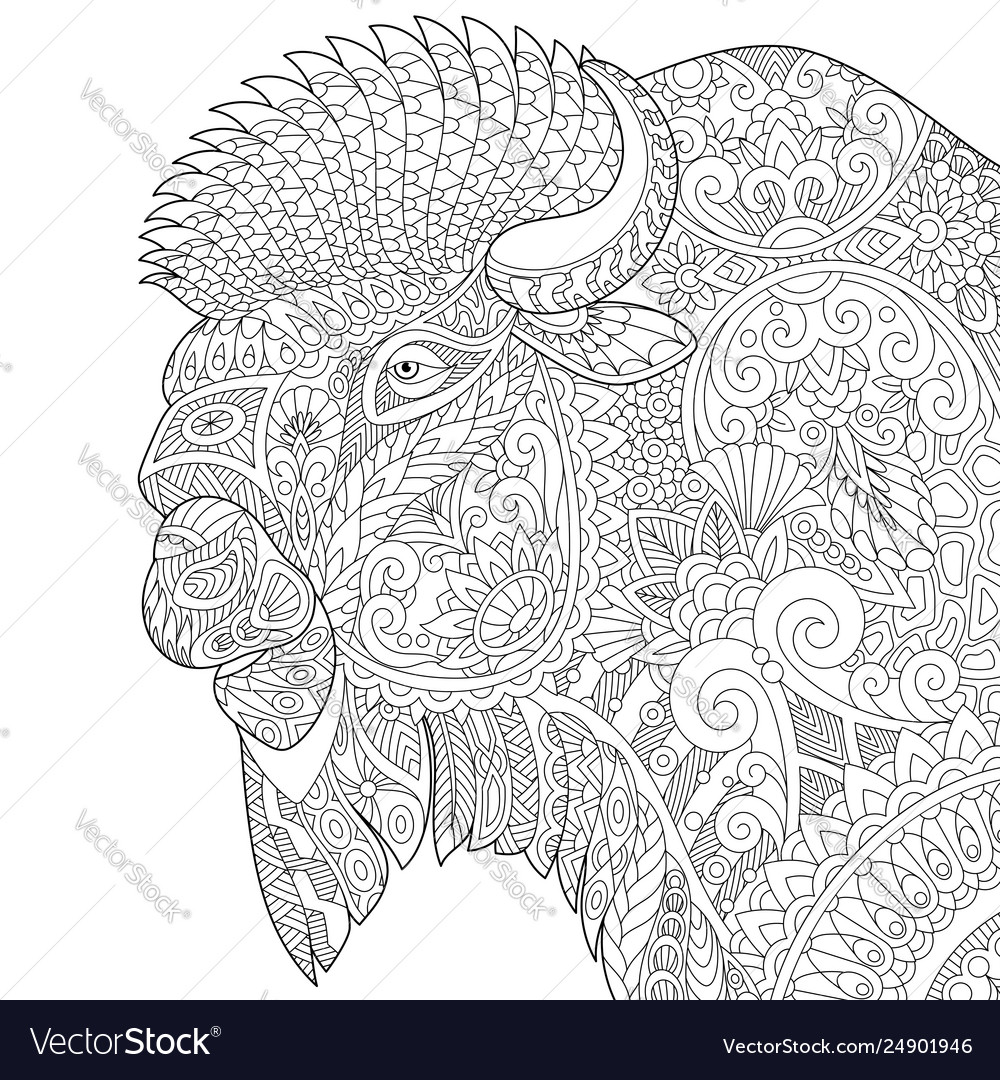 Buffalo bull bison adult coloring page royalty free vector