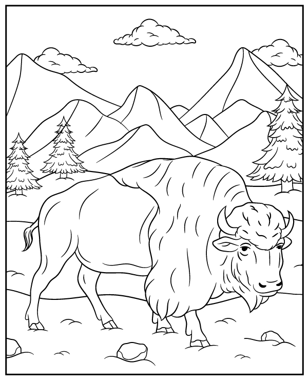 European bison coloring page wisent
