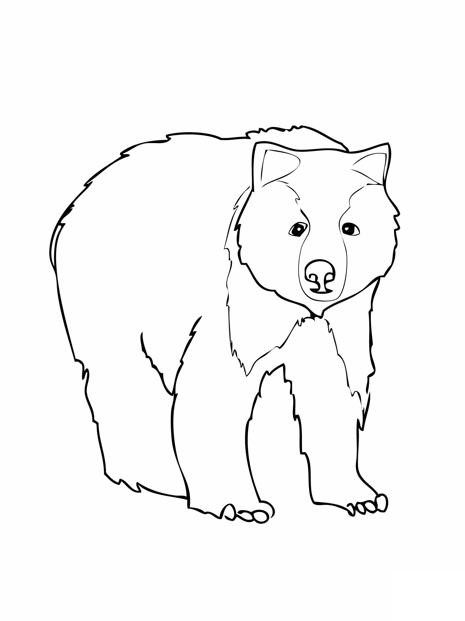 Free printable bear coloring pages for kids