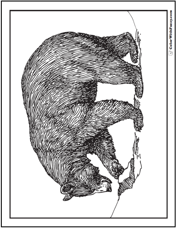 Brown bear coloring pages