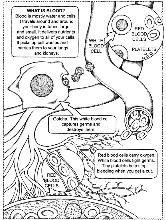 Wele to dover publications