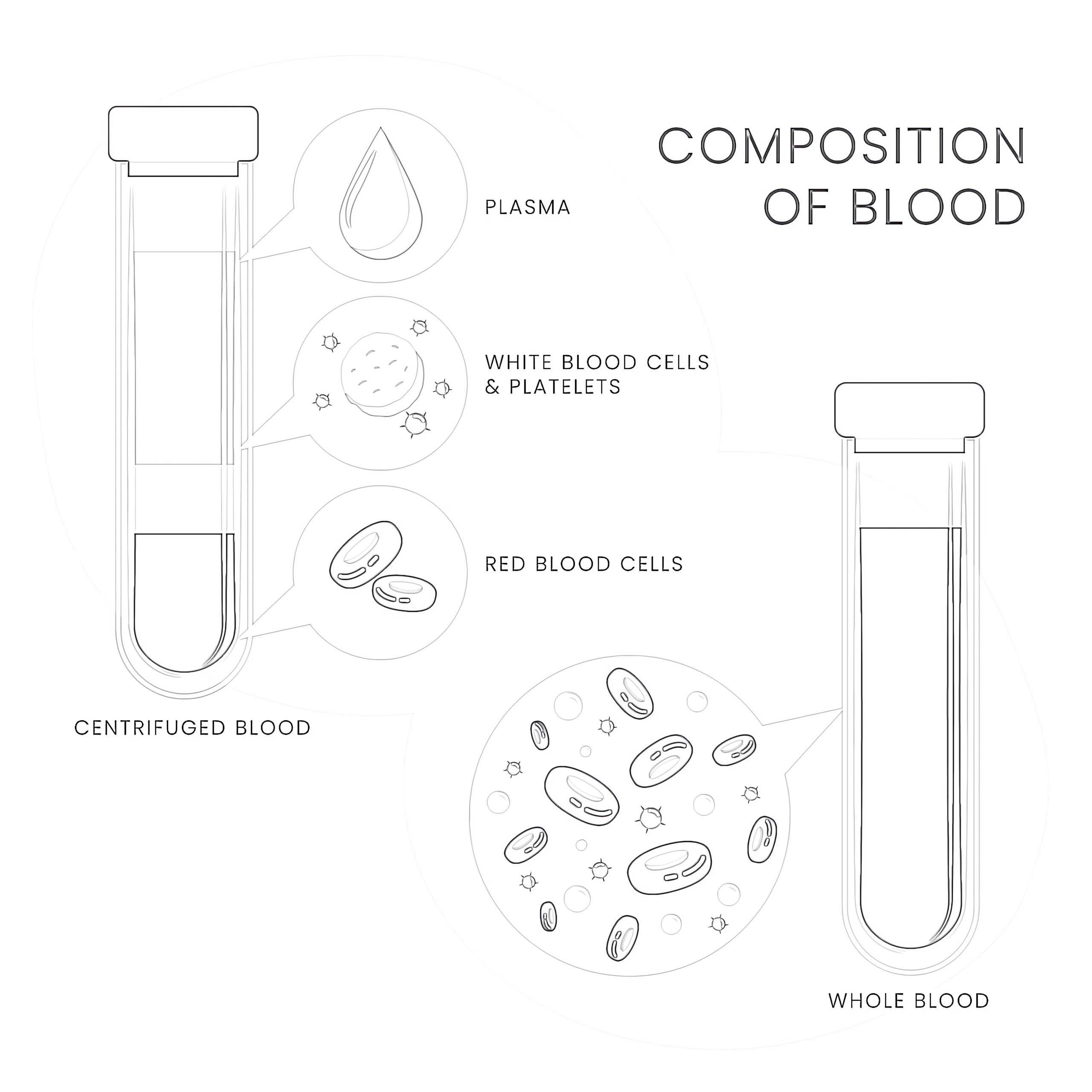 Blood concept coloring page