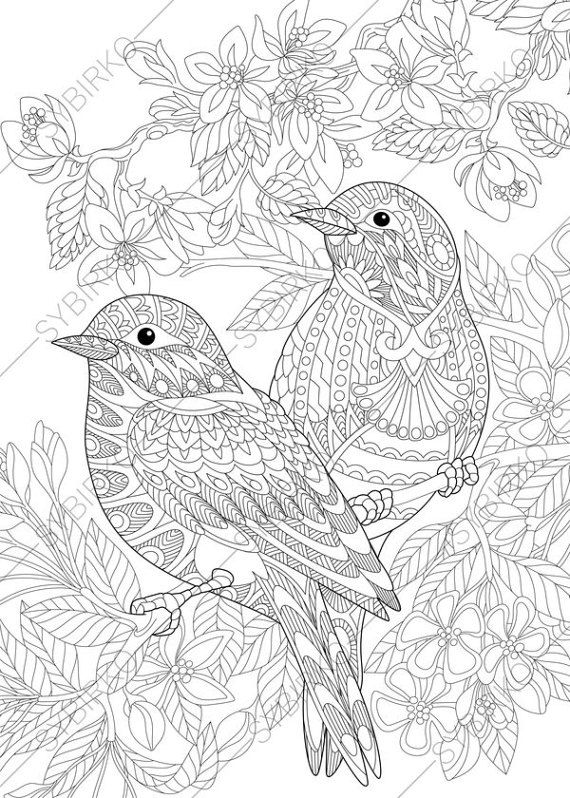 Lovely birds coloring pages coloring book for adults and kids mandala coloring bundle printable pdf coloring book instant download