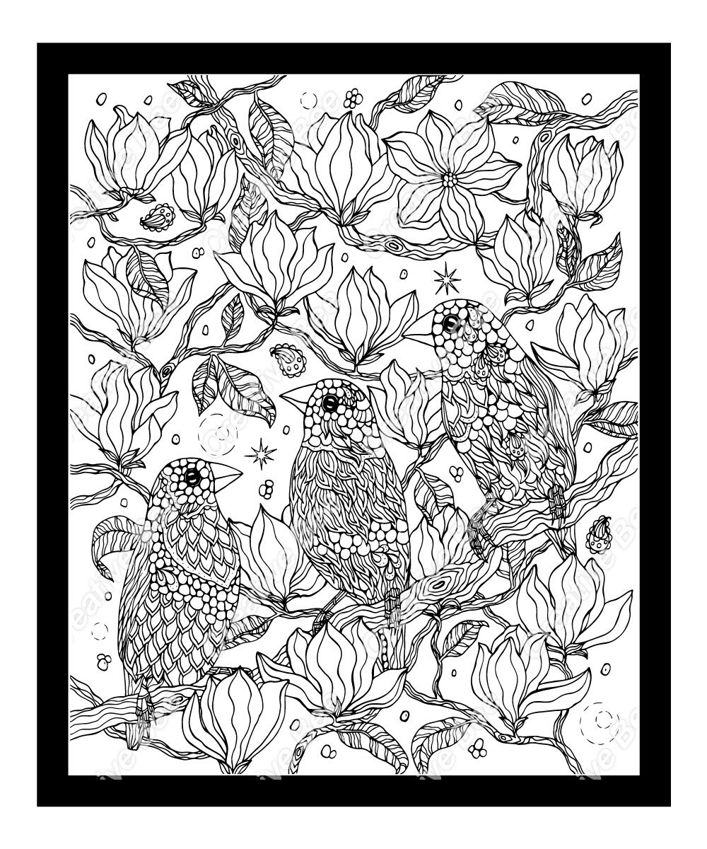 Birds coloring book