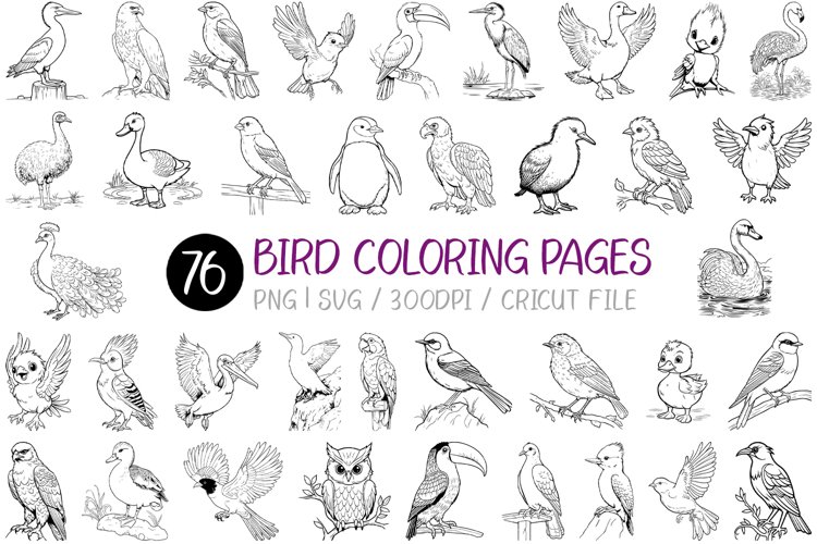 Bird coloring pages coloring book for kids